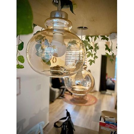 Muy Amplio Y Comodo En Zona Andares グアダラハラ エクステリア 写真